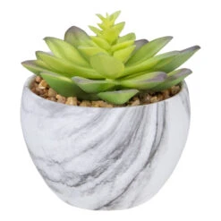Northlight Succulent In Ceramic Pot H 12.7cm