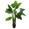 Northlight 47" Potted Two Tone Green Wide Taro Leaf Artificial Floor Plant -Northlight c97bfe177c744cb0afbafefc6e0f26ca