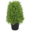 Northlight 15" Artificial Boxwood Cone Topiary Tree With Round Pot Unlit -Northlight d2480d18f9f94bfbb12c8da63820e676