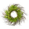 Northlight 20-Inch Green And Yellow Flower Buds Leaves And Twigs Artificial Floral Wreath