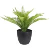 Northlight 12" Potted Green Artificial Pinus Plant