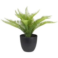 Northlight 12" Potted Green Artificial Pinus Plant