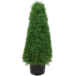 Northlight 3' Pre-Lit Artificial Boxwood Cone Topiary Tree With Round Pot Clear Lights