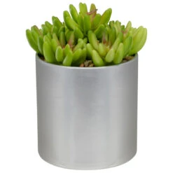 Northlight 4.75" Potted Red And Green Artificial Sedum Succulent