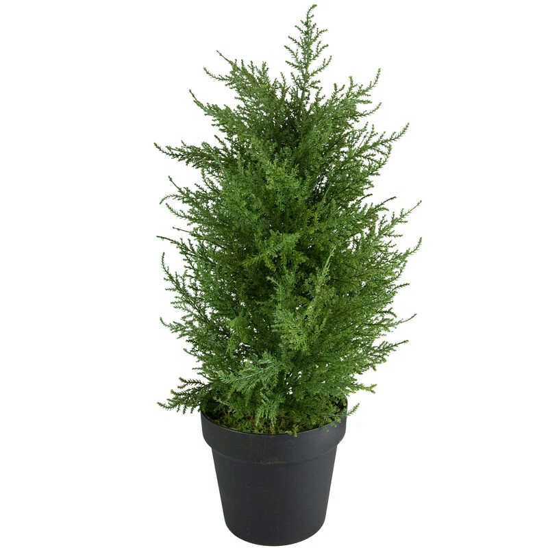 Northlight 2' Artificial Cedar Pine Petite Arborvitae Tree In Round Pot Unlit 3 Northlight 2' Artificial Cedar Pine Petite Arborvitae Tree In Round Pot Unlit