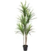 Northlight 5.5' Green Artificial Dracaena Marginata Plant In Black Pot