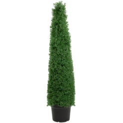 Northlight 4' Artificial Boxwood Cone Topiary Tree With Pot Unlit