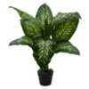 Northlight 36" Artificial Green And Ivory Variegated Leaf Dieffenbachia Potted Plant -Northlight eb2be95955164308a12a0d74a63e4365