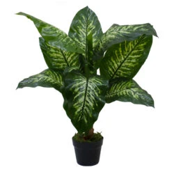 Northlight 36" Artificial Green And Ivory Variegated Leaf Dieffenbachia Potted Plant