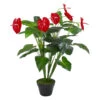 Northlight 41" Red And Black Potted Tropical Artificial Anthurium Plant In A Black Pot 1 Northlight 41" Red And Black Potted Tropical Artificial Anthurium Plant In A Black Pot -Northlight f1cb43d578dd4f98b1f11c9c743e8de4