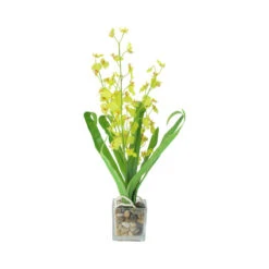Northlight 23.5" Green And Yellow Potted Artificial Orchid Flower Plant