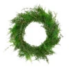 Northlight Mixed Boxwood And Berry Artificial Wreath 24-Inch Unlit -Northlight f22525f806a645da953ba144a52c27a8