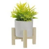 Northlight 8" Potted Green Artificial Succulent With Wooden Stand -Northlight f6a57e9cc0154243876aaba6b3870535