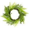 Northlight Fern Leaf Artificial Springtime Wreath Green - 18-Inch -Northlight fb8a0900eae5417aa3dba01a7be07c7a