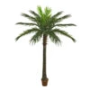 Northlight 70" Green And Brown Potted Artificial Phoenix Palm Tree